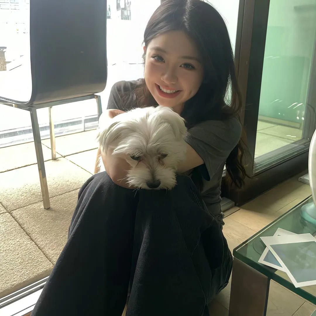 美好条纹