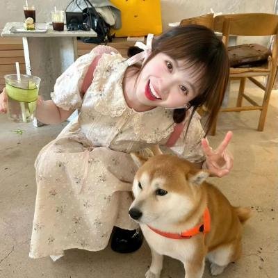 血爱成河
